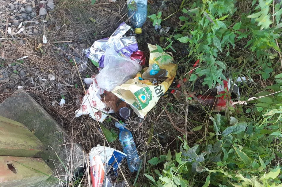 Młodzież z klas mundurowych wzięła udział w akcji sprzątania - zdjęcie 2