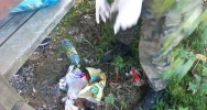 Młodzież z klas mundurowych wzięła udział w akcji sprzątania - zdjęcie 5