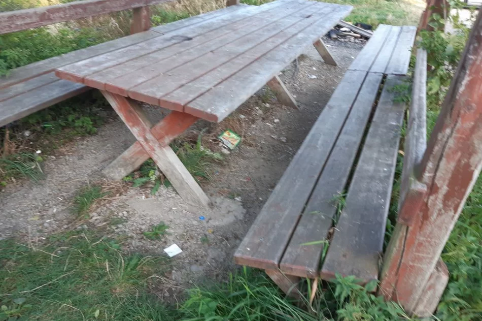 Młodzież z klas mundurowych wzięła udział w akcji sprzątania - zdjęcie 10