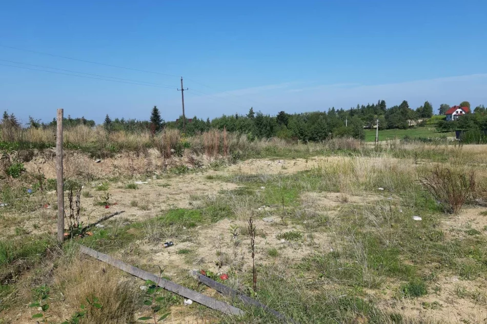 Powstanie wielofunkcyjne, ogólnodostępne boisko - zdjęcie 2