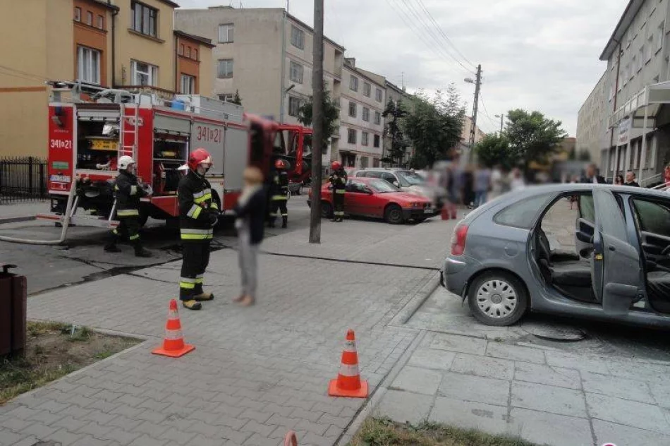 Za wcześnie by łączyć pożary aut z pracą skarbówki - zdjęcie 2