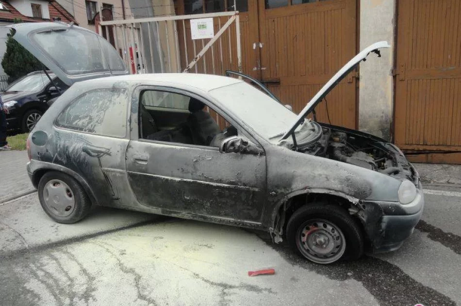 Za wcześnie by łączyć pożary aut z pracą skarbówki - zdjęcie 4