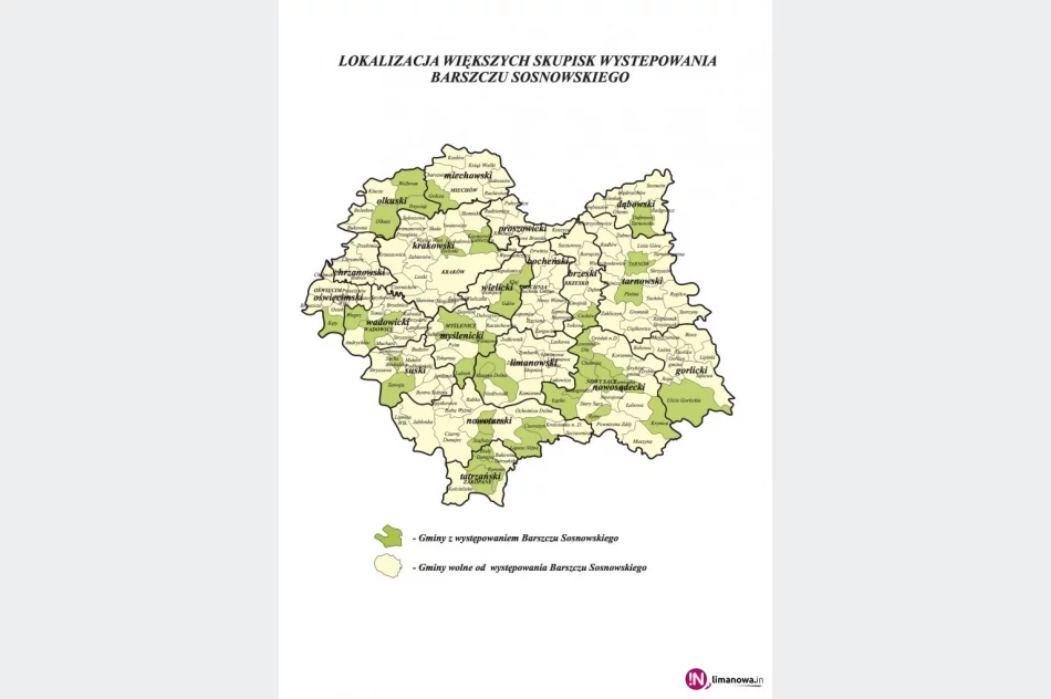 2 mln zł na walkę z barszczem - zdjęcie 2