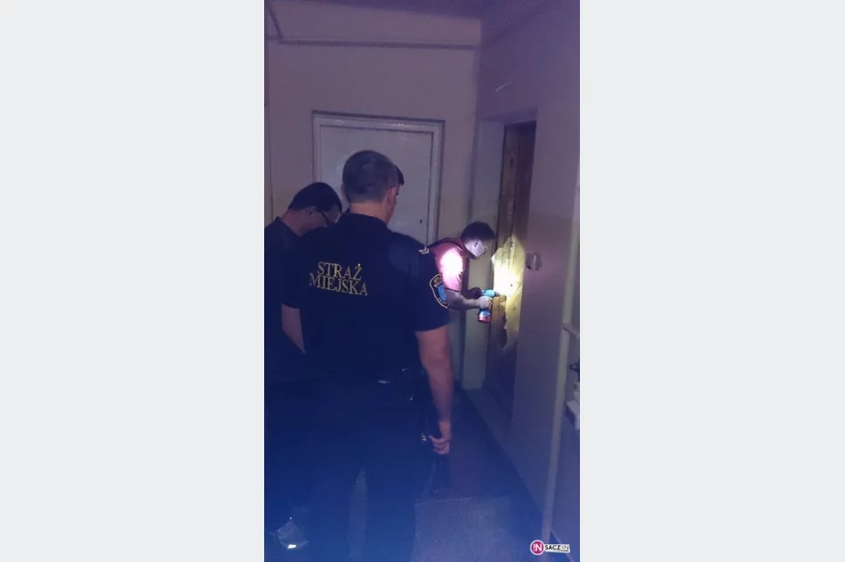 Właścicielka wyjechała - zostawiła zwierzęta bez opieki - zdjęcie 4