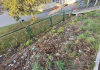 Fotointerwencja: krzaki wycięto, wysypisko zostało - zdjęcie główne