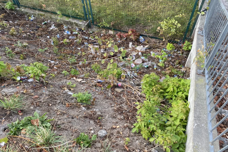 Fotointerwencja: krzaki wycięto, wysypisko zostało - zdjęcie 2