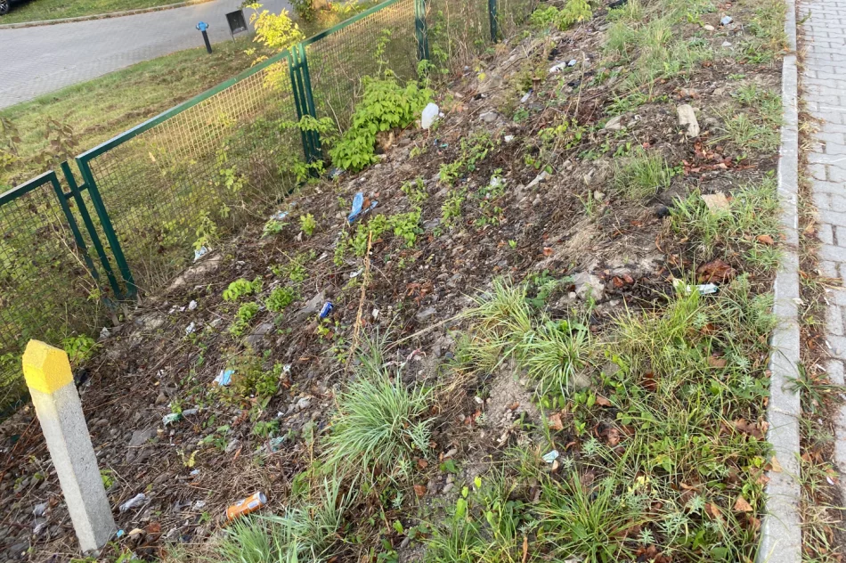 Fotointerwencja: krzaki wycięto, wysypisko zostało - zdjęcie 3