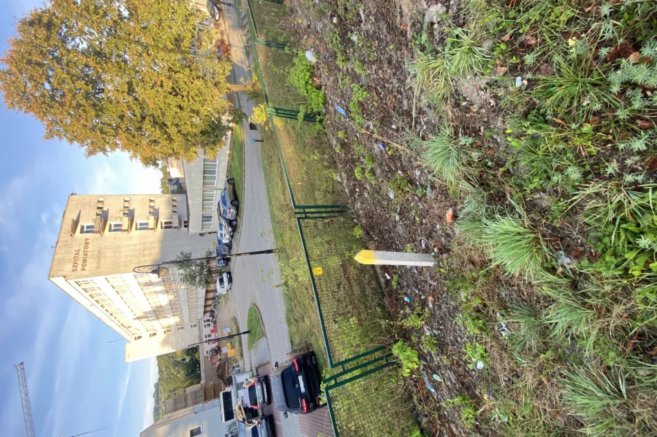 Fotointerwencja: krzaki wycięto, wysypisko zostało - zdjęcie 4