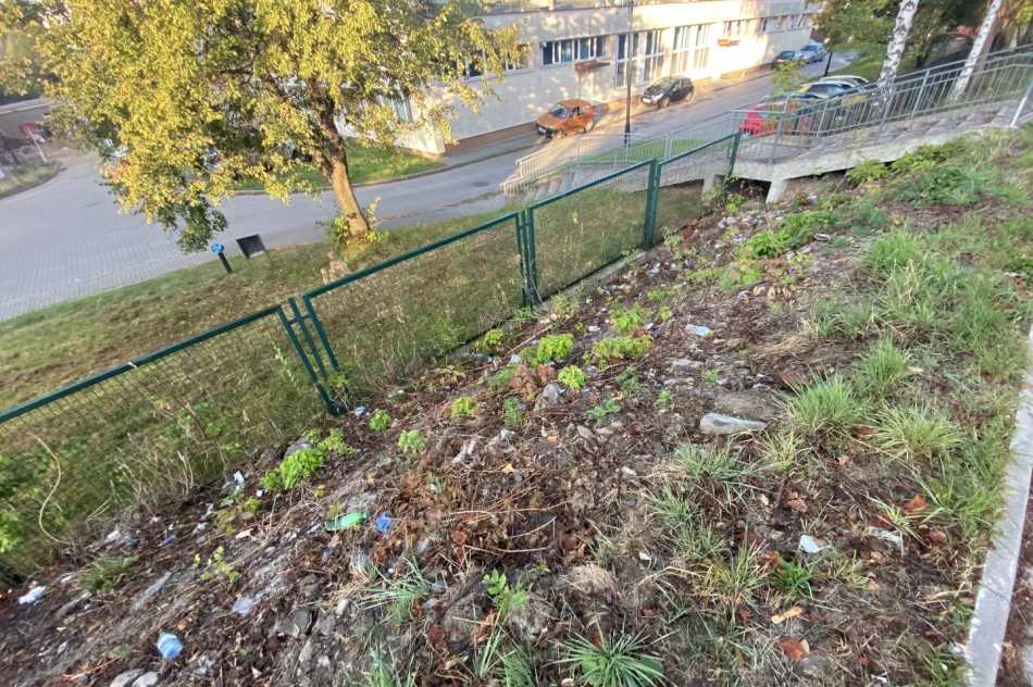 Fotointerwencja: krzaki wycięto, wysypisko zostało - zdjęcie 5