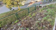 Fotointerwencja: krzaki wycięto, wysypisko zostało - zdjęcie 5