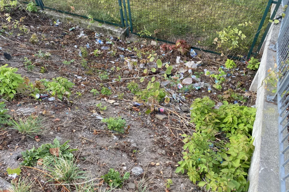 Fotointerwencja: krzaki wycięto, wysypisko zostało - zdjęcie 6