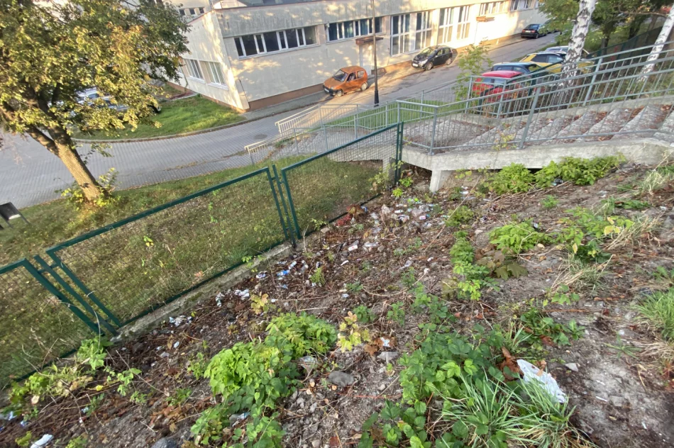 Fotointerwencja: krzaki wycięto, wysypisko zostało - zdjęcie 7