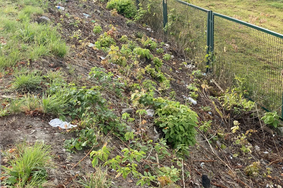 Fotointerwencja: krzaki wycięto, wysypisko zostało - zdjęcie 8