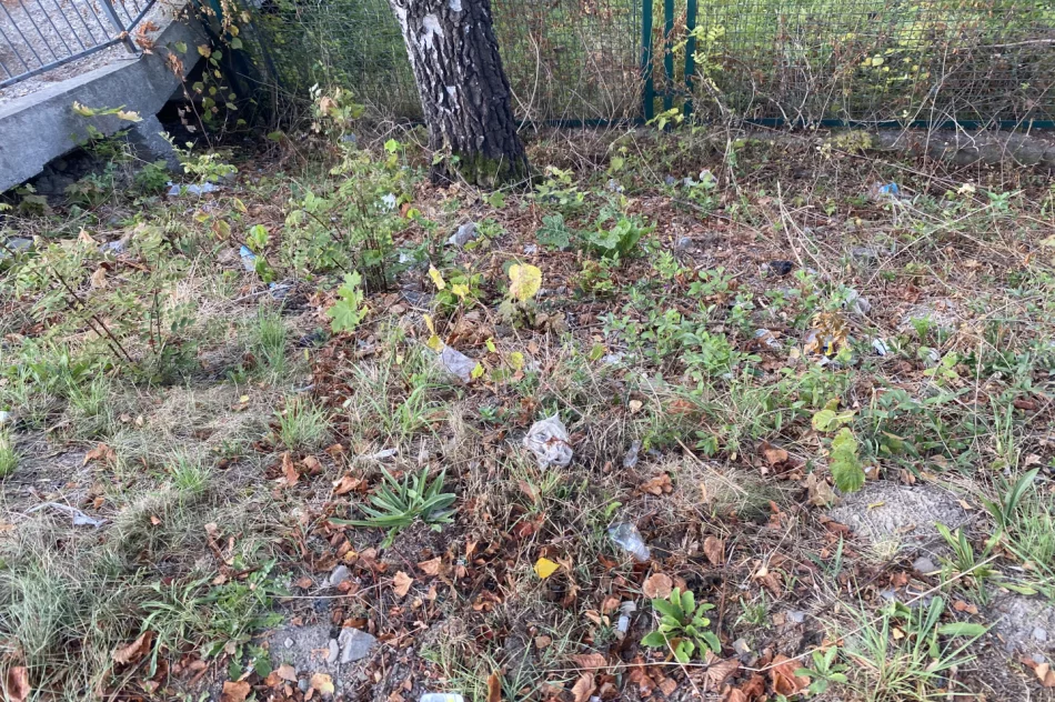 Fotointerwencja: krzaki wycięto, wysypisko zostało - zdjęcie 9