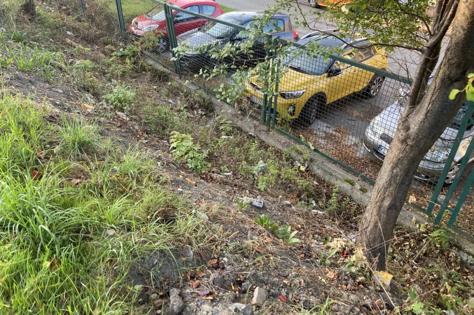 Fotointerwencja: krzaki wycięto, wysypisko zostało - zdjęcie 10