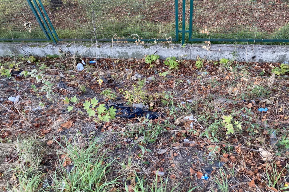 Fotointerwencja: krzaki wycięto, wysypisko zostało - zdjęcie 11