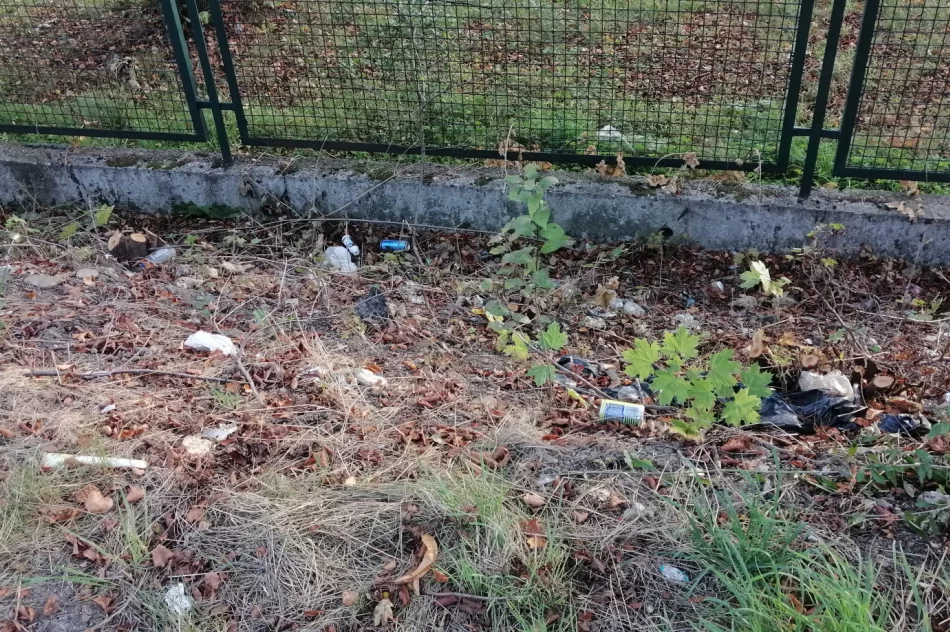 Fotointerwencja: krzaki wycięto, wysypisko zostało - zdjęcie 14