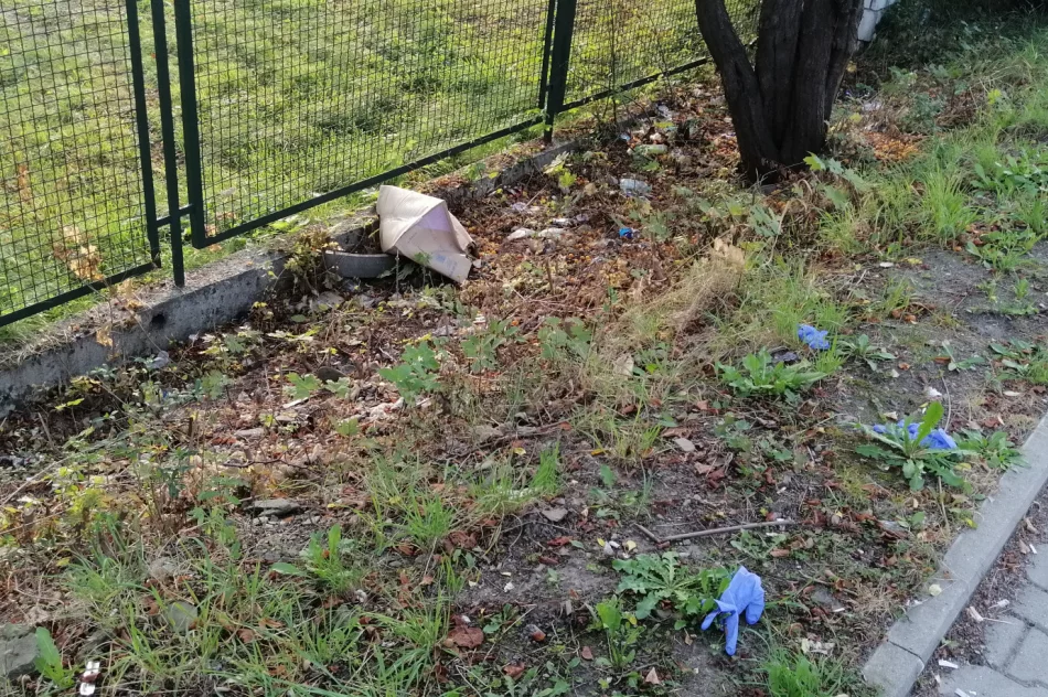 Fotointerwencja: krzaki wycięto, wysypisko zostało - zdjęcie 15