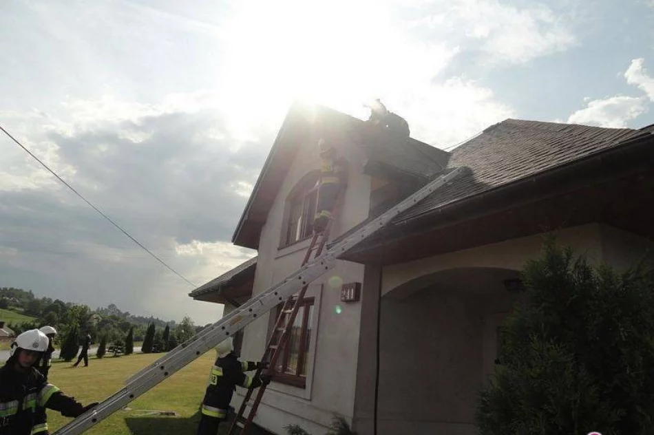 Zwarcie instalacji elektrycznej - palił się dom w Koniuszowej - zdjęcie 2