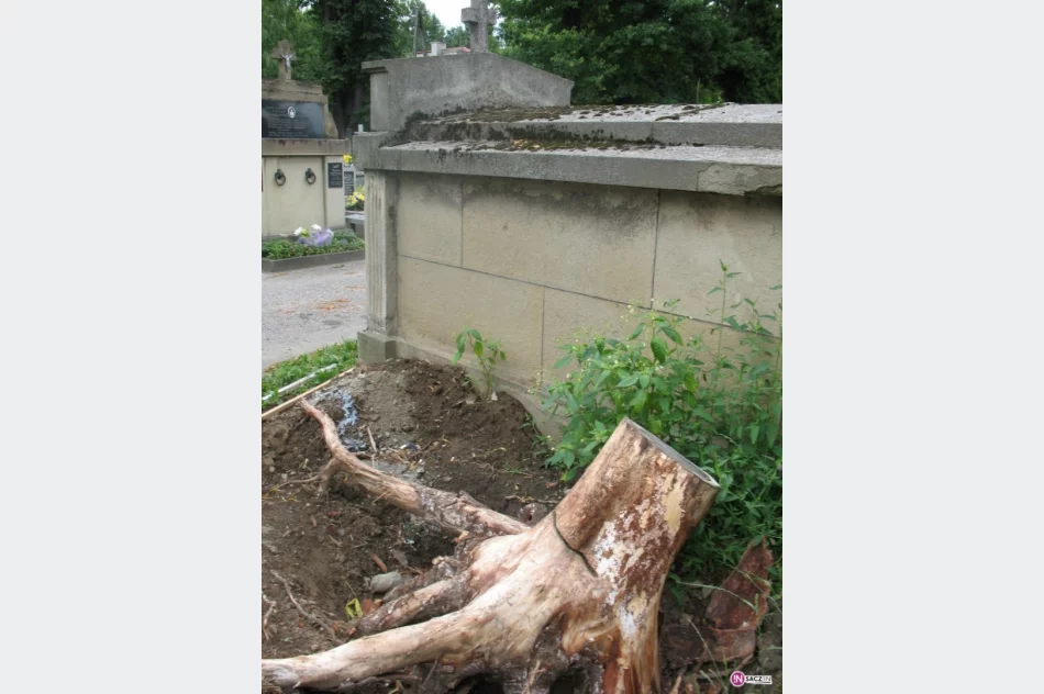 Zapomniany kapłan, zaniedbany grób - zdjęcie 4