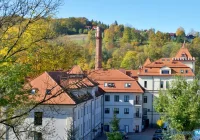 Ponad 53 mln zł dla przedsiębiorców i organizacji z Limanwoszczyzny - zdjęcie główne