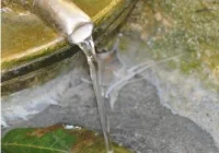 Jeśli masz studnię na działce - koniecznie zbadaj wodę - zdjęcie główne