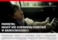 Samochód - śmiertelna pułapka - zdjęcie główne