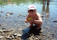 Gronkowce, paciorkowce czy salmonella? - zdjęcie główne