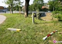 Driftował na rondzie - wypadł z jezdni i uderzył w drzewo - zdjęcie główne