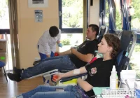 Znowu polała się krew przez strażaków - zdjęcie główne