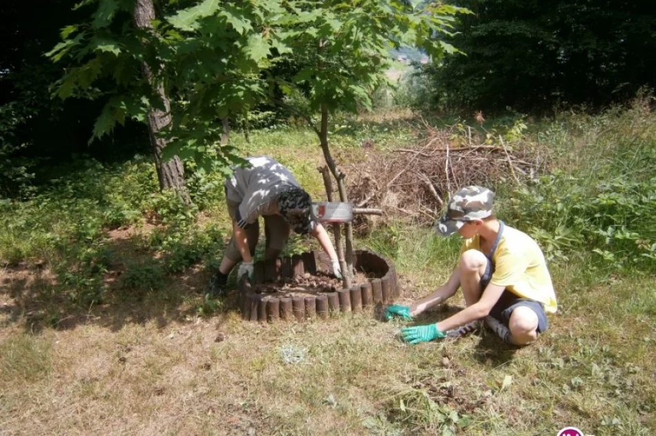Uczniowie zadbali o cmentarz wojenny - zdjęcie 3