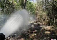 Upały sprzyjają pożarom - zdjęcie główne