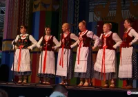 Piyrogi pną się na szczyt - zdjęcie główne