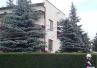 Głuchy telefon - ciężarówka zerwała linie - zdjęcie główne