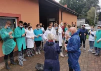 Przyszli weterynarze zdobyli kwalifikacje - zdjęcie główne