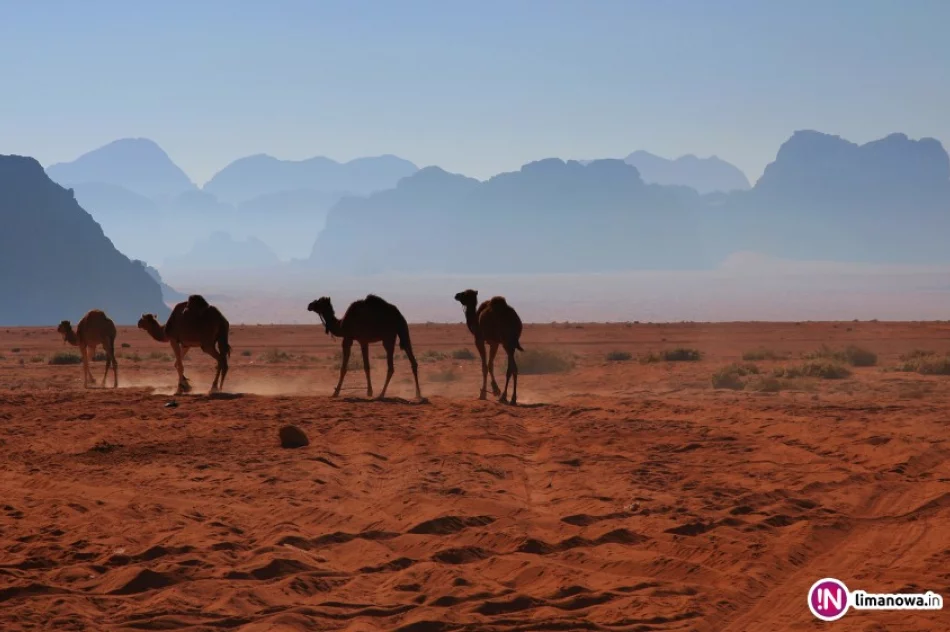 Bliski Wschód - Śladami proroków - zdjęcie 3