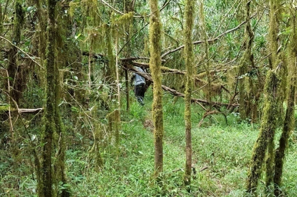 Podróżnik z Limanowszczyzny chce wytyczyć szlaki w górach Ugandy - zdjęcie 3