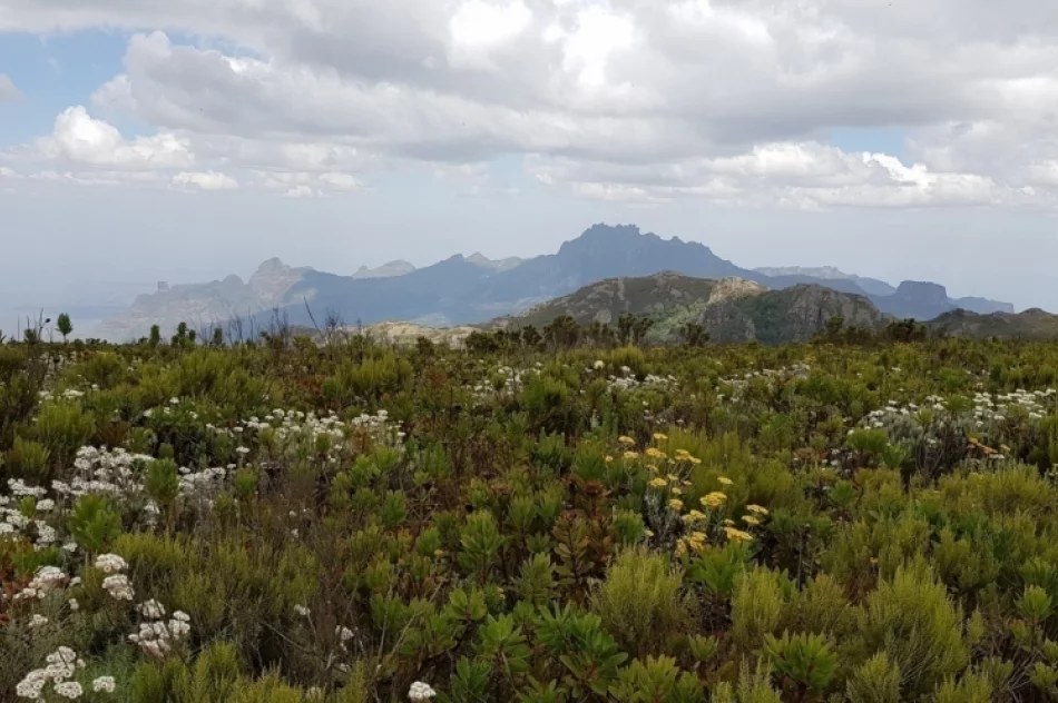 Podróżnik z Limanowszczyzny chce wytyczyć szlaki w górach Ugandy - zdjęcie 7