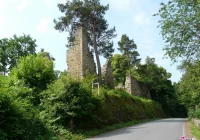 Zamek Zawiszy Czarnego czeka odbudowa - zdjęcie główne