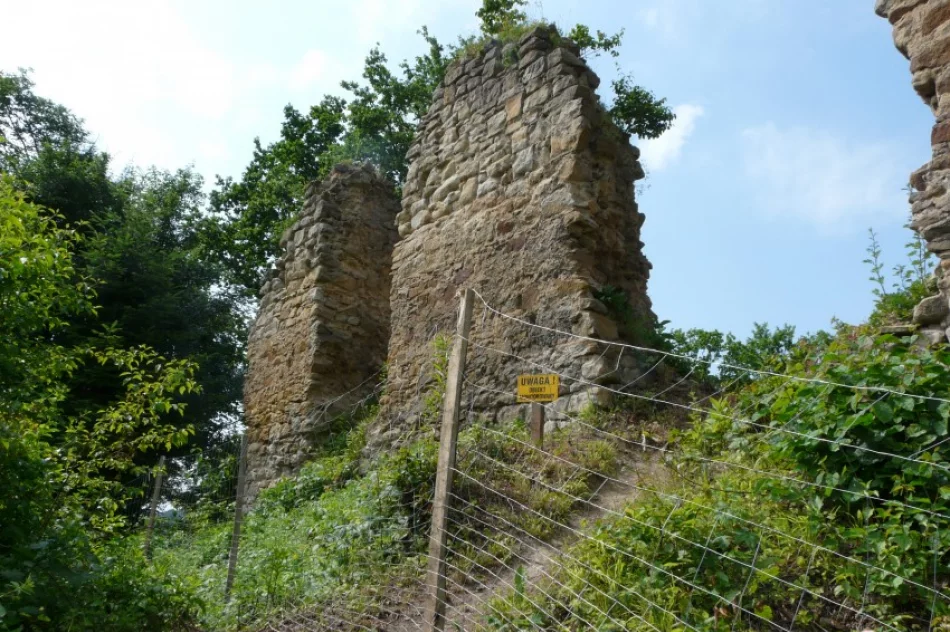 Zamek Zawiszy Czarnego czeka odbudowa - zdjęcie 2