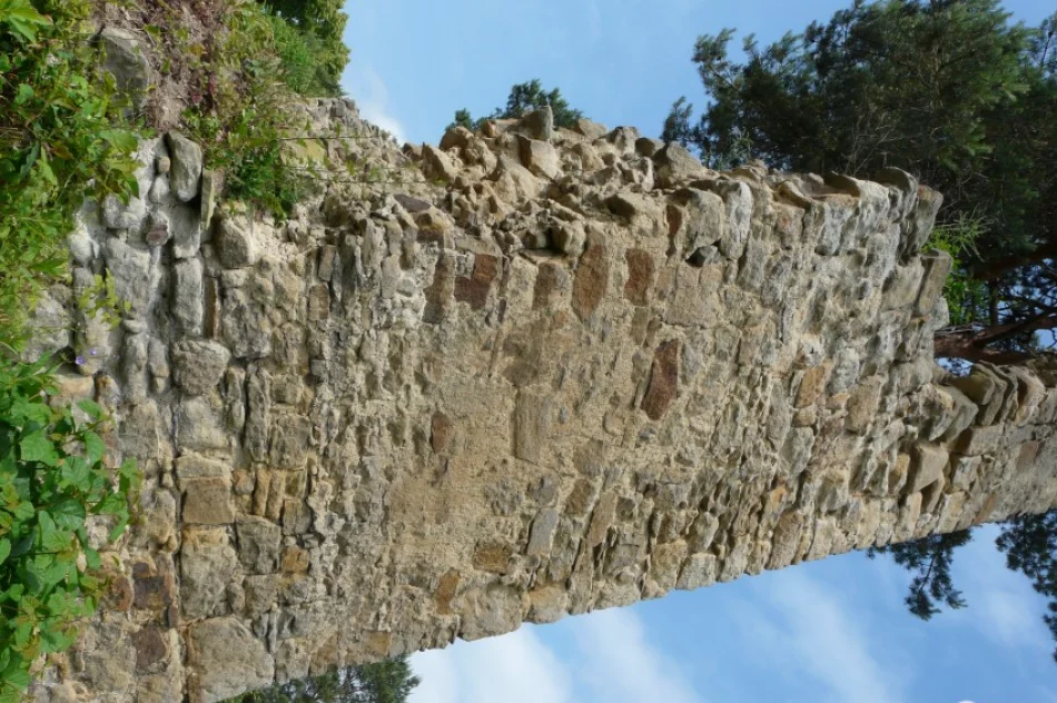 Zamek Zawiszy Czarnego czeka odbudowa - zdjęcie 3