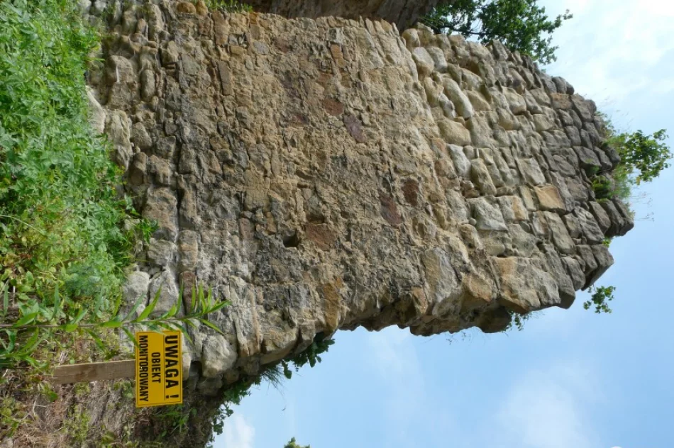 Zamek Zawiszy Czarnego czeka odbudowa - zdjęcie 4