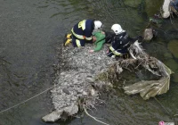Na wiadukcie w Grybowie palił się pociąg, są ranni - zdjęcie główne