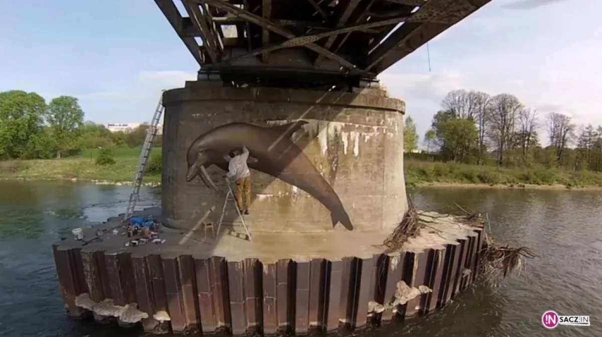 Tajemniczy delfin na sądeckim moście