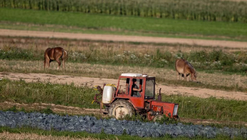 Jest projekt ws. przedłużenia zakazu sprzedaży ziemi rolnej - zdjęcie 1