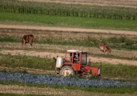 Będzie tarczę rolna dla rolnictwa: dopłaty do paliwa i nawozów - zdjęcie główne