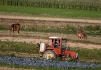 Jest projekt ws. przedłużenia zakazu sprzedaży ziemi rolnej - zdjęcie główne
