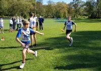 Zawieszenie współzawodnictwa sportowego wśród szkół - zdjęcie główne