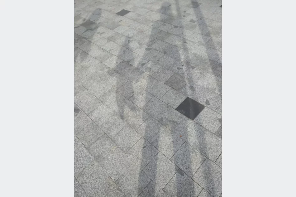 W Limanowej jest nowy mieszkaniec - zdjęcie 8