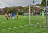 Przerwana seria Limanovii - zdjęcie główne